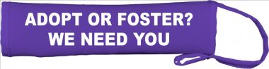 Adopt Or Foster? We Need You...  Lead Cover / Slip